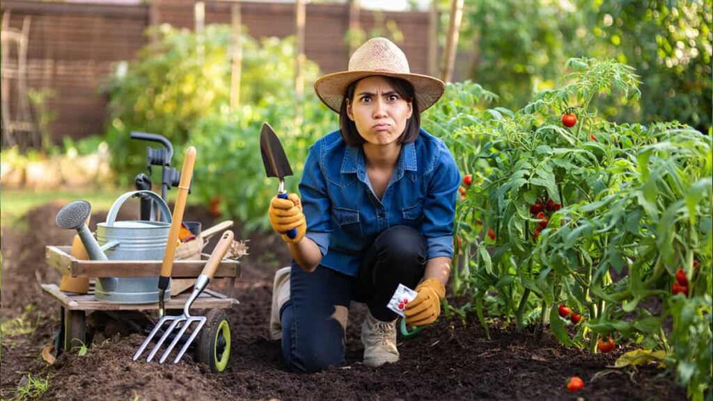 comment bien placer les légumes dans votre potager